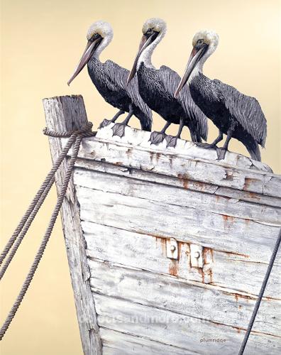 Pelican Pals by DON PLUMRIDGE